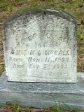 image of grave number 169345